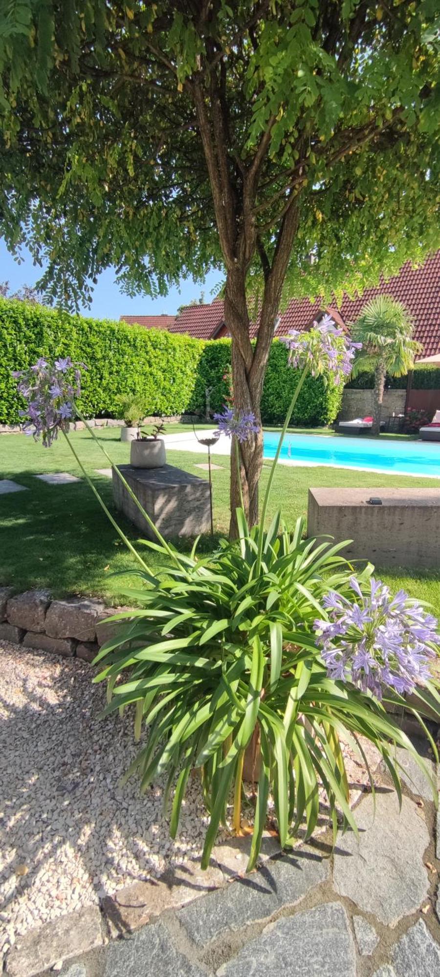 דירות FDH Bel Giardino מראה חיצוני תמונה