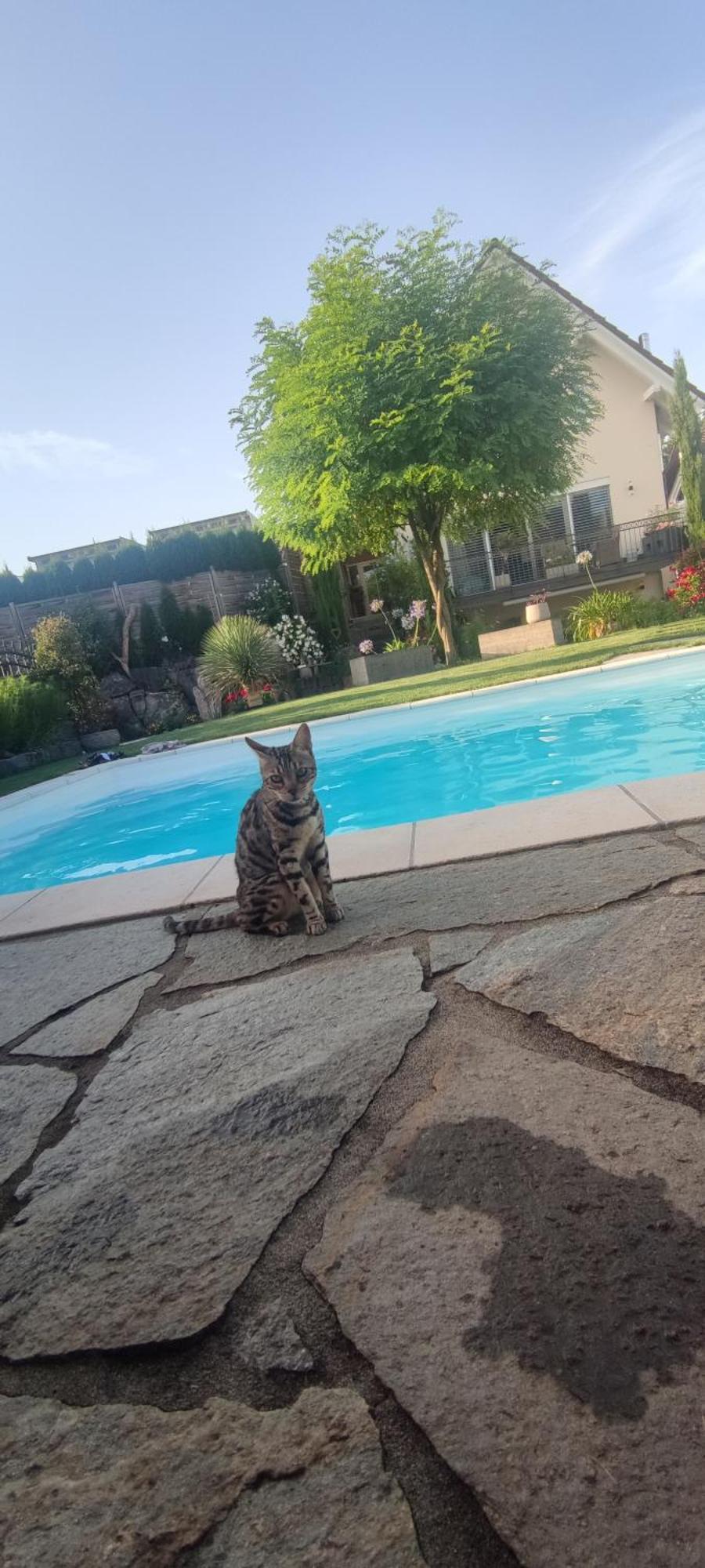 דירות FDH Bel Giardino מראה חיצוני תמונה